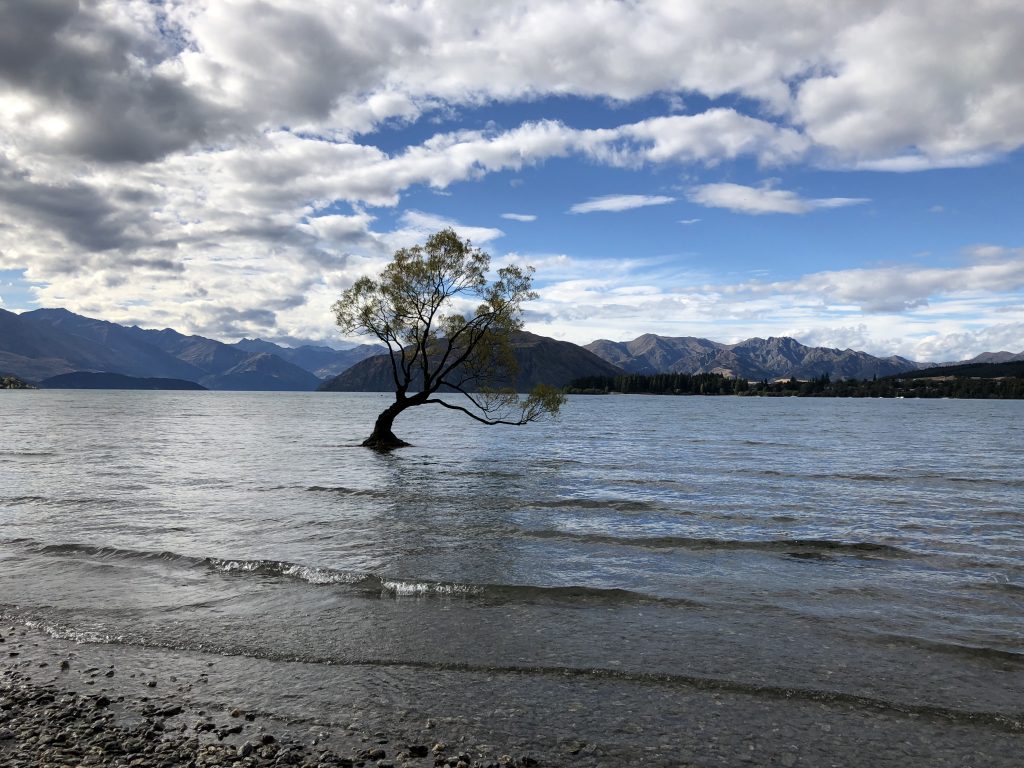 Tips, tricks & a short conclusion of New Zealand